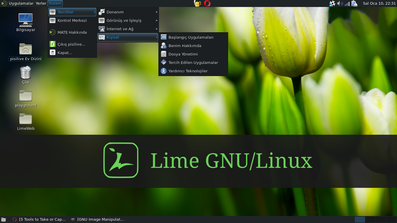 Limelinux Masaütü Görüntüsü