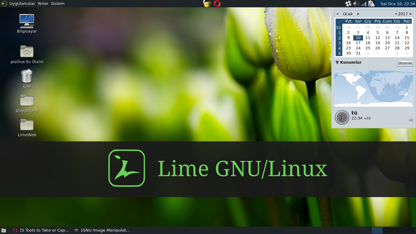 Limelinux Masaütü Görüntüsü